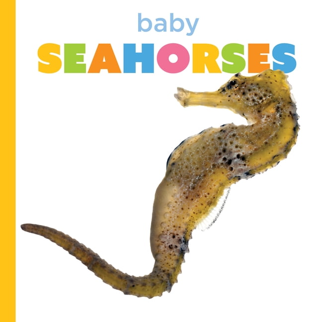 Starting Out Baby Seahorses, (Paperback)