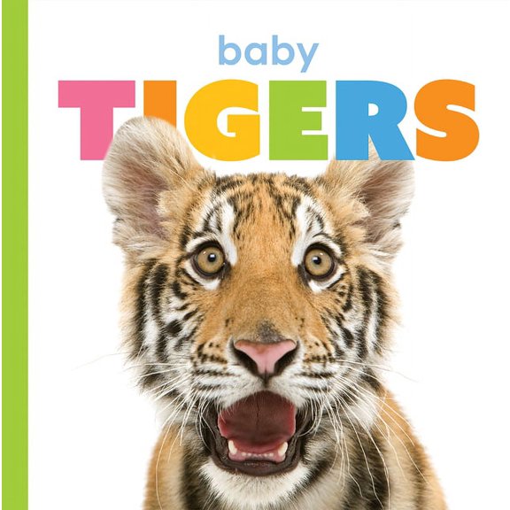 Starting Out: Baby Tigers (Paperback)