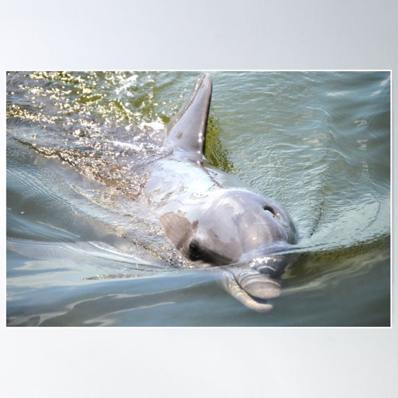 Starting Out With A Splash Poster Wall Art, Modern Wall Decor For Living Room Bedroom, 24x36 UNFRAMED