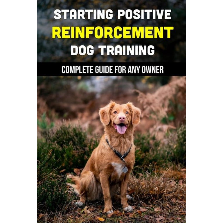 Starting Positive Reinforcement Dog Training: Complete Guide For