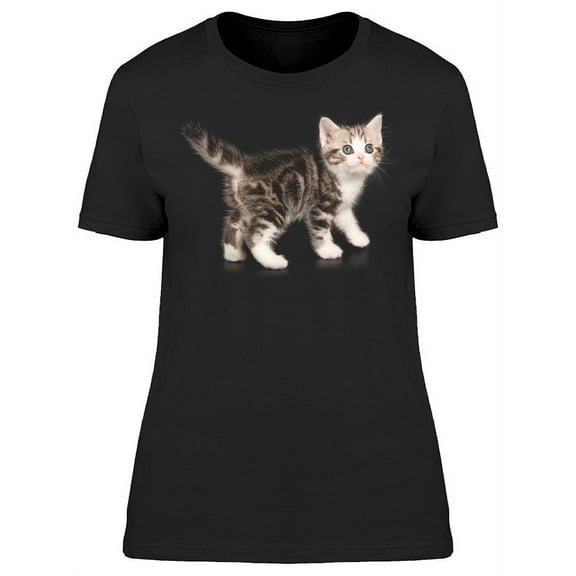 Startled American Shorthair Cat T-Shirt Women -Image by Shutterstock, Female Large