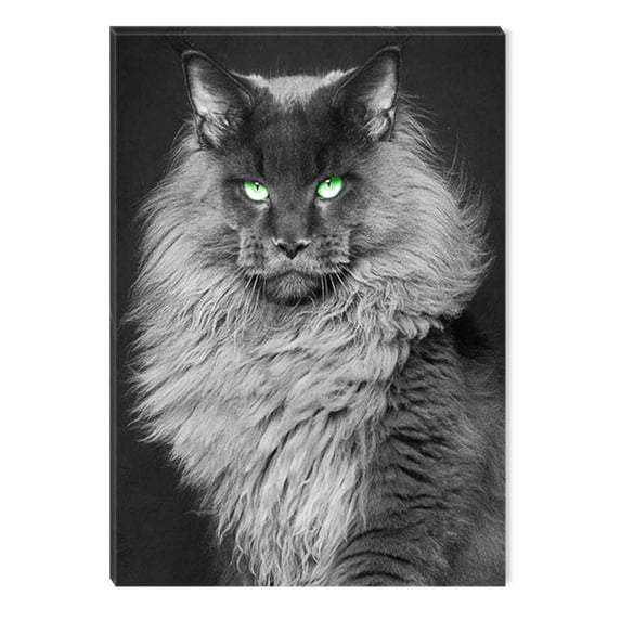 Startonight Canvas Wall Art Black and White Abstract Cat Queen of Animals, Dual View Surprise Artwork Modern Framed Ready to Hang Wall Art 100% Original Art Painting 31.5 x 47.2 inch
