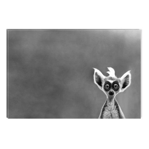 Startonight Canvas Wall Art Black and White Abstract Happy Face, Dual View Surprise Artwork Modern Framed Ready to Hang Wall Art 100% Original Art Painting 23.62 X 35.43 inch