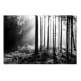 thumbnail image 1 of Startonight Canvas Wall Art Black and White Abstract The Secret Light, Dual View Surprise Artwork Modern Framed Ready to Hang Wall Art 100% Original Art Painting 23.62 X 35.43 inch, 1 of 9