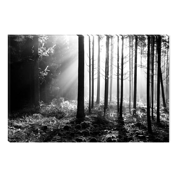 Startonight Canvas Wall Art Black and White Abstract The Secret Light, Dual View Surprise Artwork Modern Framed Ready to Hang Wall Art 100% Original Art Painting 23.62 X 35.43 inch