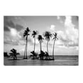 thumbnail image 1 of Startonight Canvas Wall Art Black and White Abstract Tropical Beach Palms, Dual View Surprise Artwork Modern Framed Ready to Hang Wall Art 100% Original Art Painting 31.5 x 47.2 inch, 1 of 9