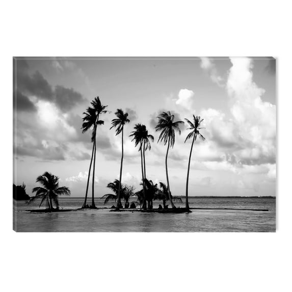 Startonight Canvas Wall Art Black and White Abstract Tropical Beach Palms, Dual View Surprise Artwork Modern Framed Ready to Hang Wall Art 100% Original Art Painting 31.5 x 47.2 inch
