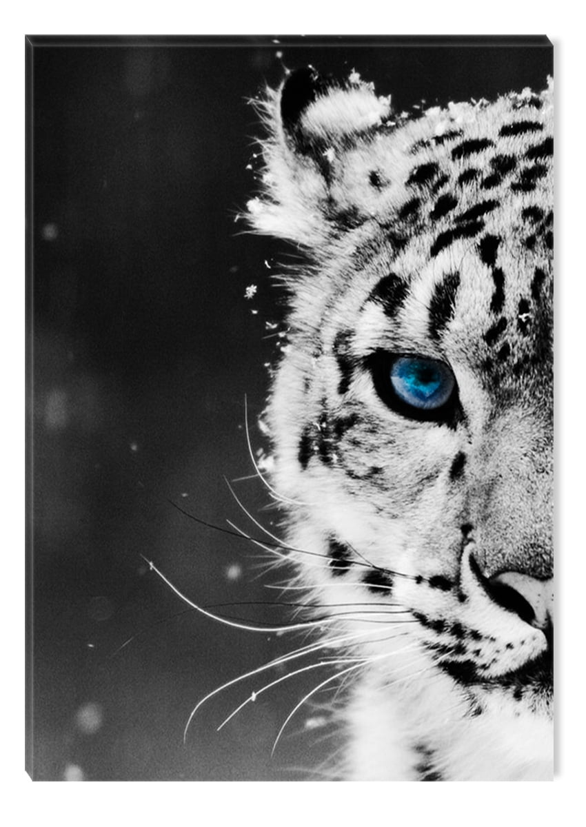 Startonight Canvas Wall Art Black and White Leopard Blue Eye