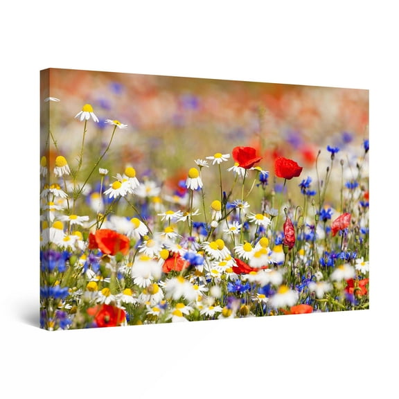 Startonight Canvas Wall Art Landscape Photo Flowers Field Colored, Framed 32" x 48"
