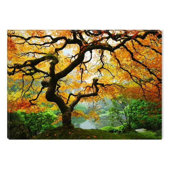 Startonight Canvas Wall Art Maple Tree USA Design for Home Decor, Illuminated Nature Painting Modern Canvas Artwork Framed Ready to Hang Medium 23.62 X 35.43 inch