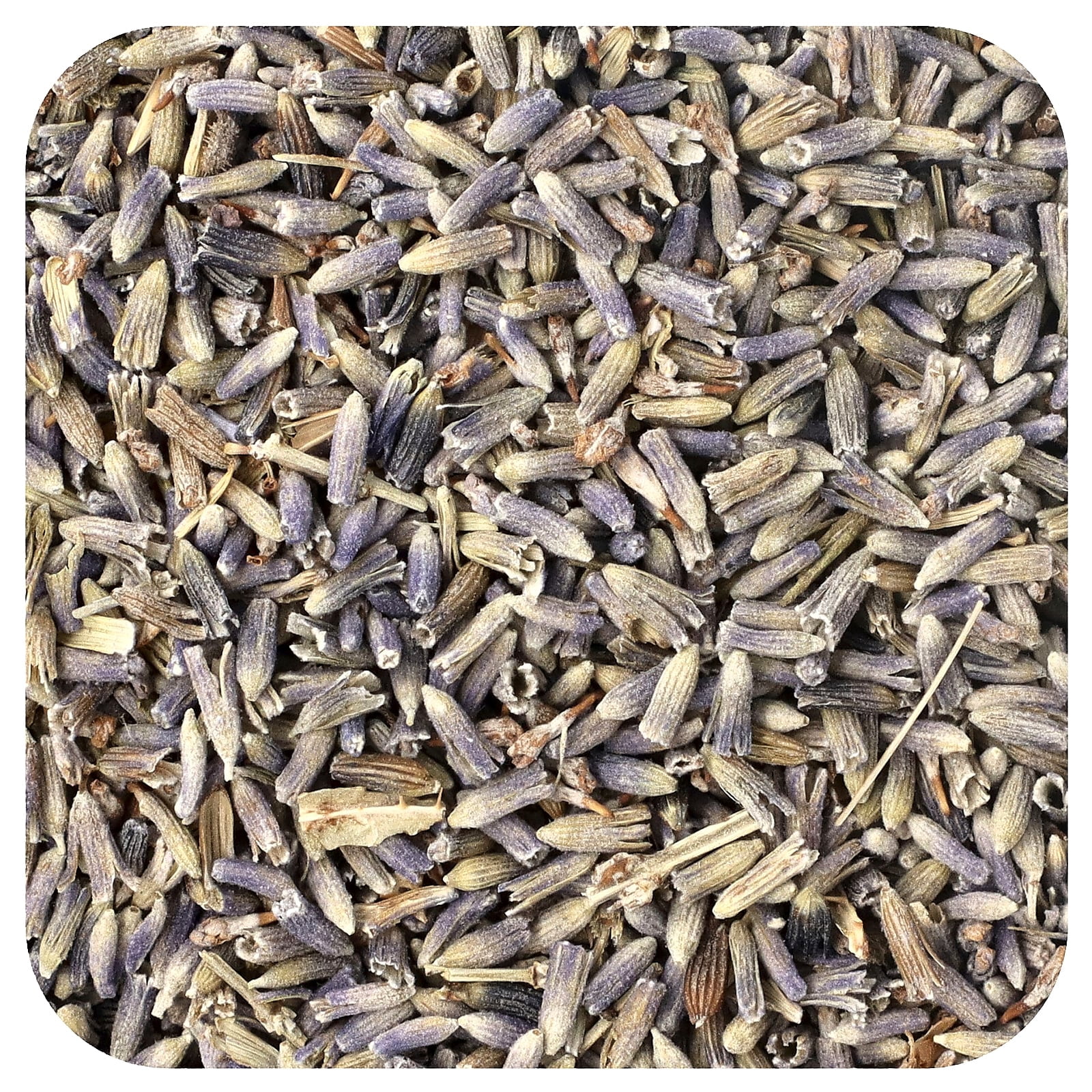 Starwest Botanicals Organic Lavender Flowers Extra, 1 lb (453.6 g)
