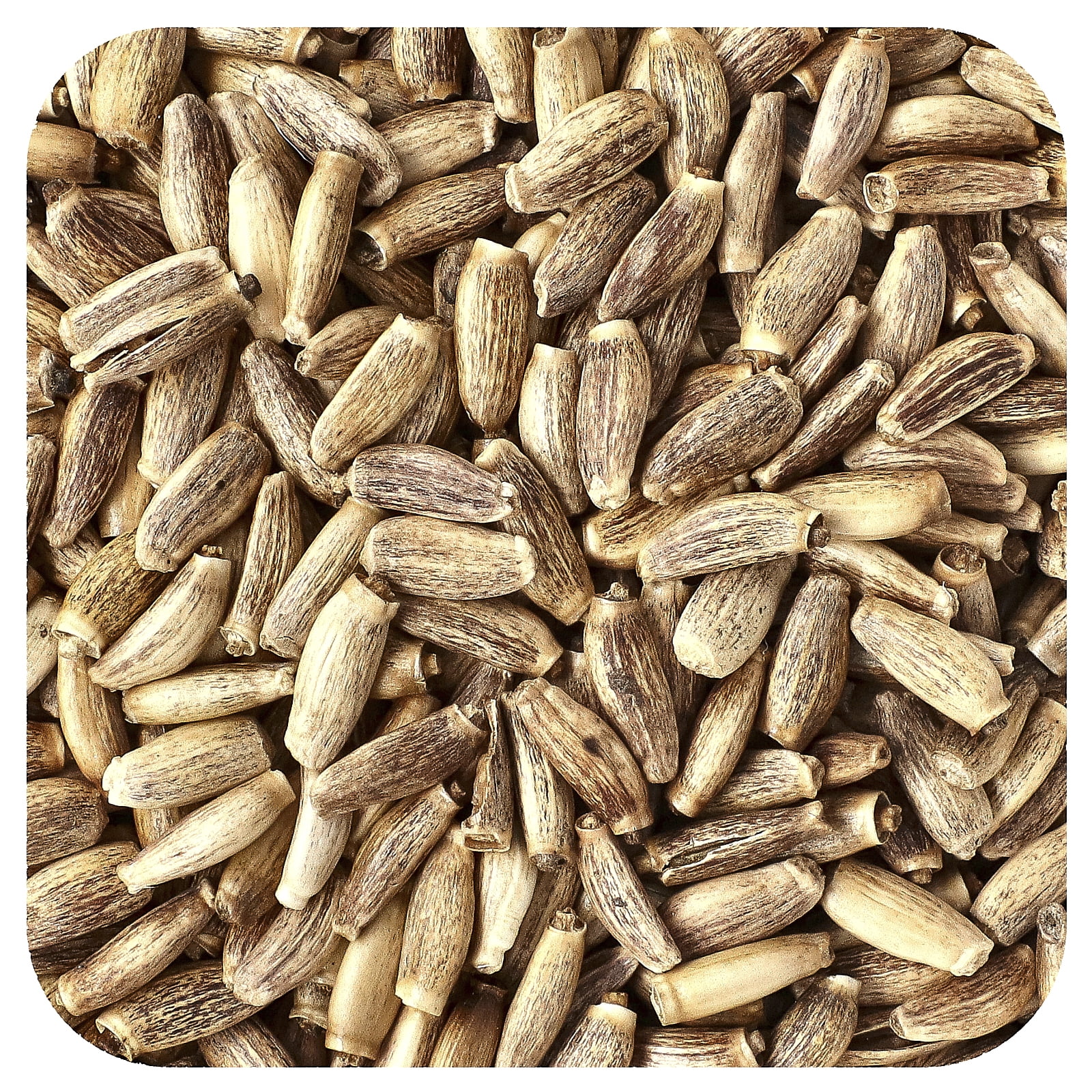 Starwest Botanicals Organic Milk Thistle Seed 1 lbs Bulk