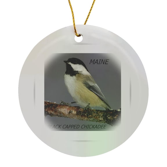 3drose, State Bird of Maine Black Capped Chickadee, Circle Porcelain Ornament