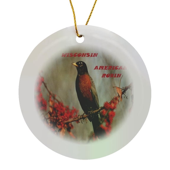 3drose, State Bird of Wisconsin American Robin, Circle Porcelain Ornament