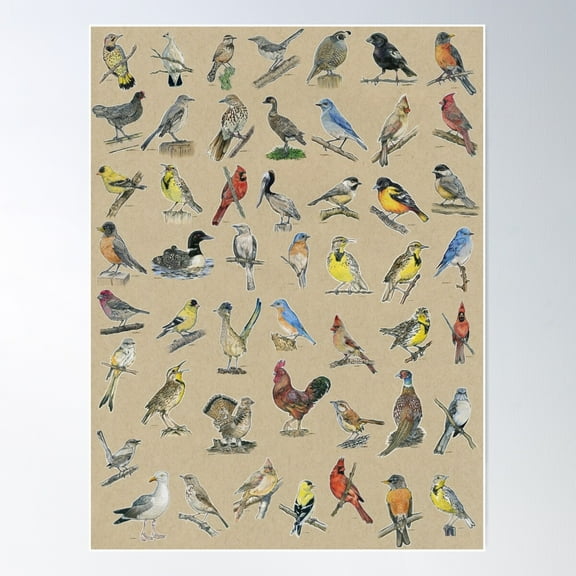 State Bird Series: All 50 States Poster Wall Art, Modern Wall Decor For Living Room Bedroom, 8x12 UNFRAMED