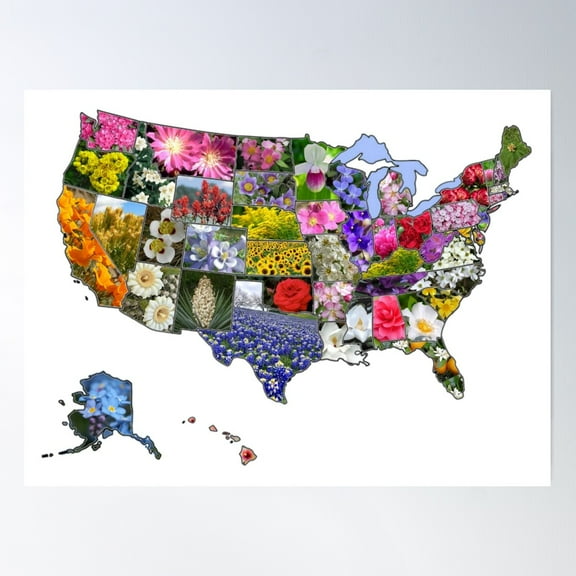 State Flowers Map Poster Wall Art, Modern Wall Decor For Living Room Bedroom, 16x24 UNFRAMED
