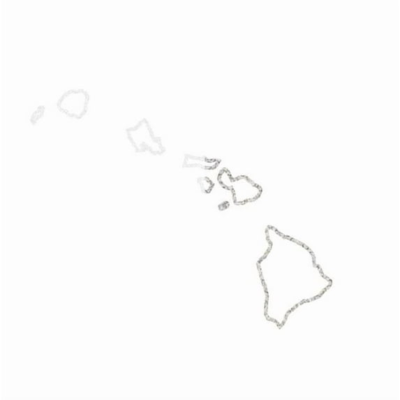 State Map Outline Hawaii Islands Ohana Vinyl Decal Sticker UV & Waterproof Bumper Window Laptop Automotive Water Bottle Gift accessories – WHITE REFLECTIVE 5"