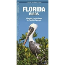 State Nature Guides: Florida Birds: A Folding Pocket Guide to Familiar Species (Paperback)
