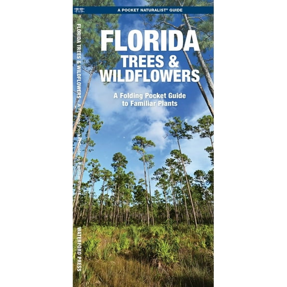 State Nature Guides: Florida Trees & Wildflowers: A Folding Pocket Guide to Familiar Species (Paperback)