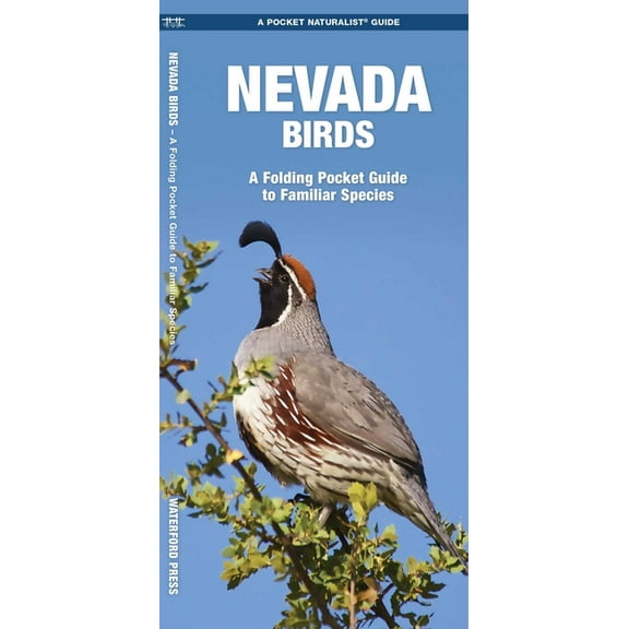 State Nature Guides: Nevada Birds: A Folding Pocket Guide to Familiar Species (Paperback)