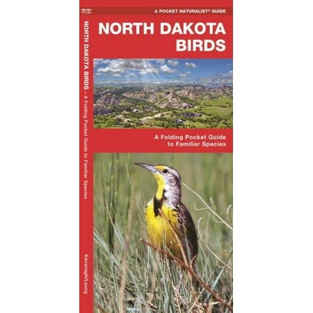 State Nature Guides: North Dakota Birds: A Folding Pocket Guide to Familiar Species (Paperback)