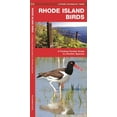 thumbnail image 1 of State Nature Guides: Rhode Island Birds: A Folding Pocket Guide to Familiar Species (Paperback), 1 of 1
