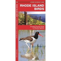State Nature Guides: Rhode Island Birds: A Folding Pocket Guide to Familiar Species (Paperback)