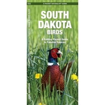 State Nature Guides: South Dakota Birds: A Folding Pocket Guide to Familiar Species (Paperback)