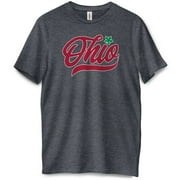 B WEAR SPORTSWEAR State Of Ohio Script Pride Shirt Dotting The I Buckeye Leaf Unisex Graphic Tee
