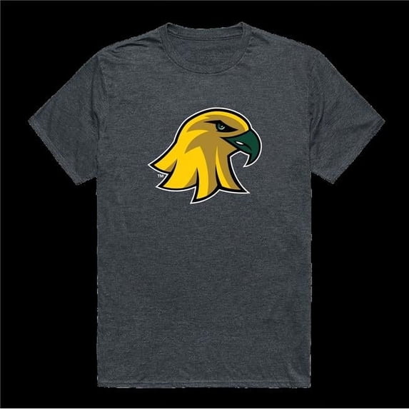 State University of York at Potsdam Brockport Golden Eagles Cinder College T-Shirt, Heather Charcoal - Medium