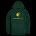thumbnail image 1 of State University of   York at Potsdam Brockport Golden Eagles The Freshman Hoodie, Forest Green - Small, 1 of 1