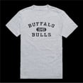 thumbnail image 1 of State University of   York at Potsdam Buffalo Bulls Distressed Arch College T-Shirt, Heather Grey - Extra Large, 1 of 1