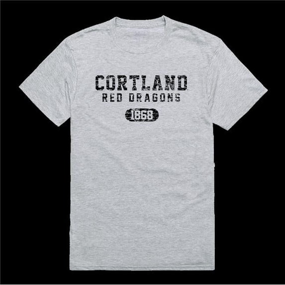 State University of York at Potsdam Cortland Red Dragons Distressed Arch College T-Shirt, Heather Grey - Medium