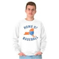 thumbnail image 1 of State of New York Home Of Baseball Unisex Plus Fleece Graphic Sweatshirt Brisco Brands 4X, 1 of 5