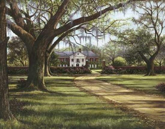 Stately Passage Canvas Art - Lene Alston Casey (22 x 28)