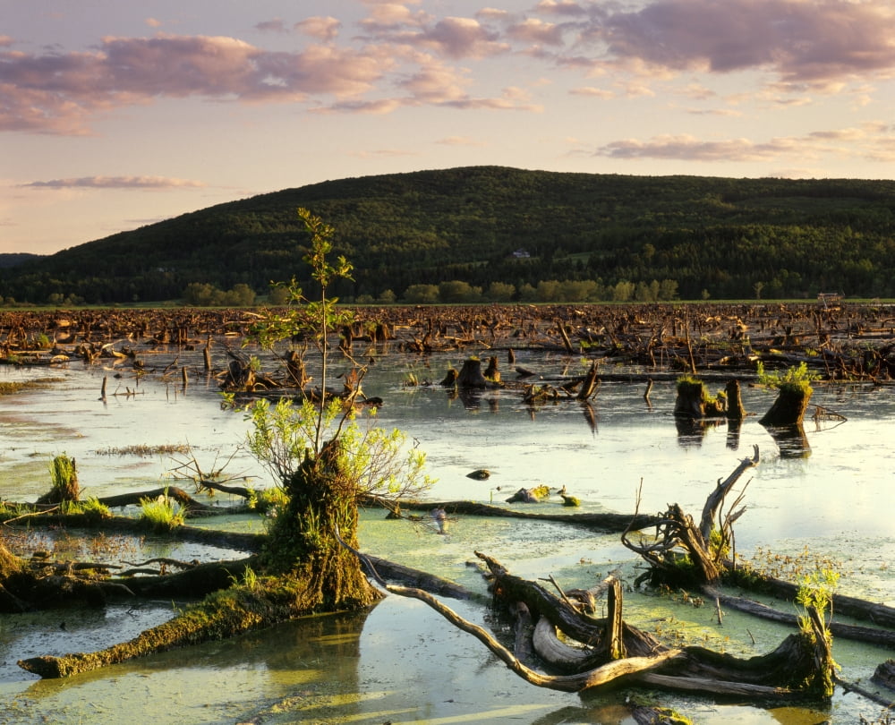Stater Pond At Sunset Chaudiere-Appalaches County Quebec Canvas Art - Yves Marcoux Design Pics (34 x 28)