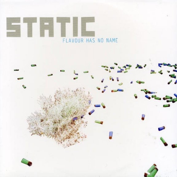 Static - Flavour Has No Name - Electronica - CD