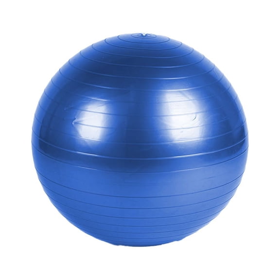 Static Strength Exercise Stability Ball with Pump-blue-55cm