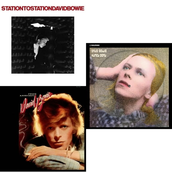 Station To Station (2016 Remastered Version) & Young Americans (2016 Remastered Version) & Hunky Dory (2015 Remaster/50Th Anniv/Picture Disc) [LP Vinyl Bundle]