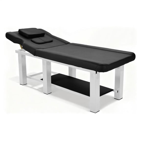 Stationary Massage Table, Adjustable Backrest Spa Facial Bed, Esthetician Bed, Heavy Duty Metal Frame Massage Table for Rehabilitation Spa Massage
