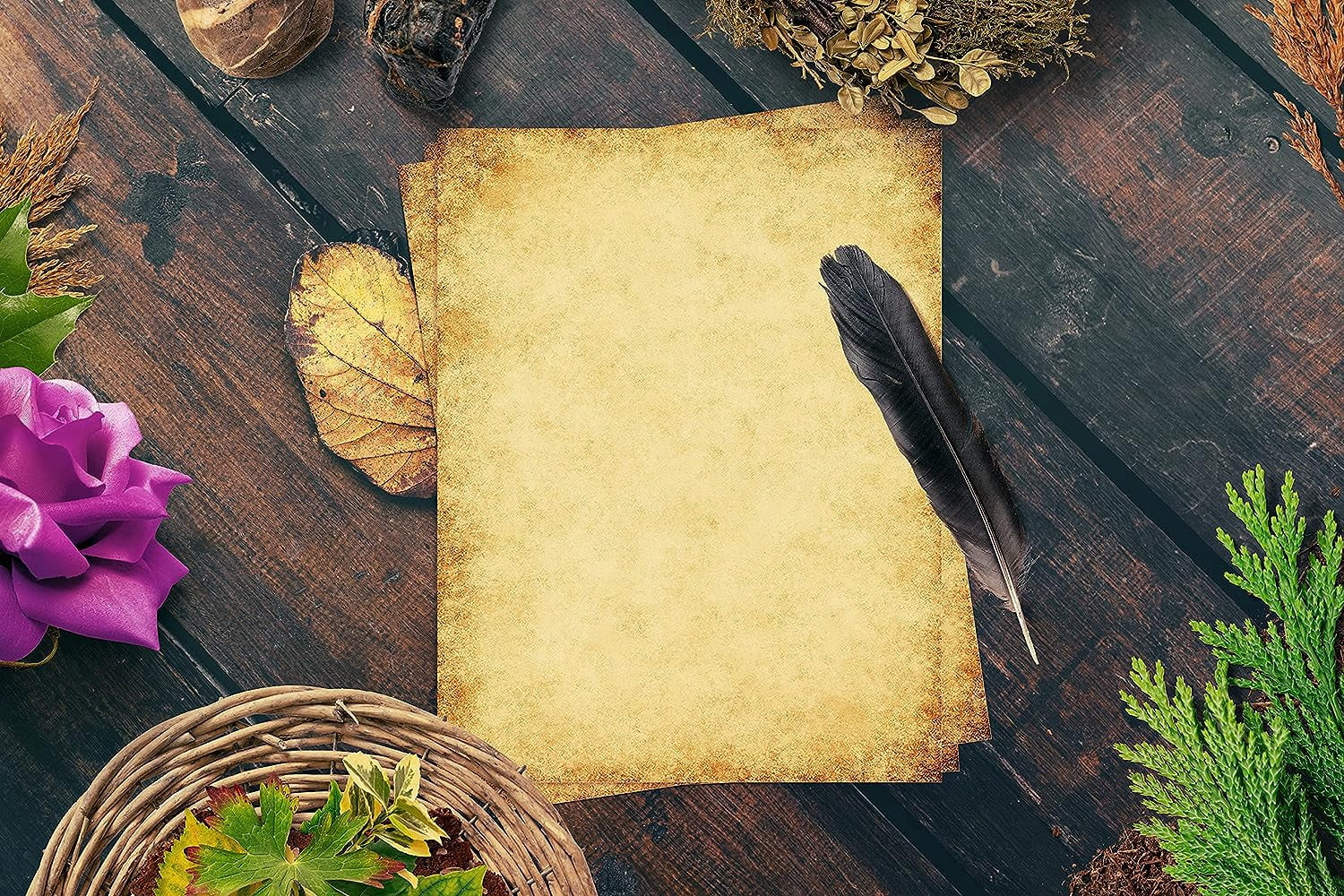 Stationery Paper, 100 Sheets, Aged Look Vintage Antique Old Fashion Parchment Paper, Letter Size 8.5 x 11 inch, Double Sided Printing Paper, 6 Designs, 100 Pack