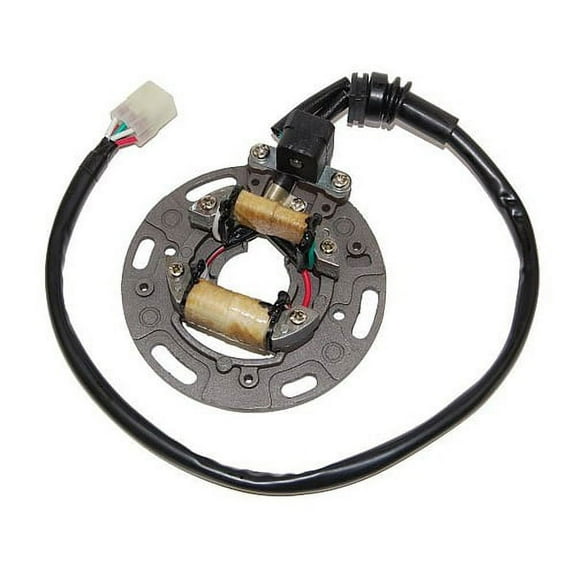 Stator Kawasaki Kx125 (95 97), Manufacturer: Procom, Part Number: 344023 Ad,