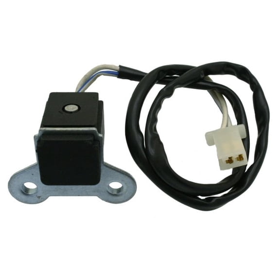Stator Trigger Pickup Coil for GY6 50cc 70cc 100cc 125cc 150cc Scooter ATV Go Kart Moped Quad Dirt Bike Buggy UTV Compatible with 4-Stroke Engines TaoTao Roketa Sunl Kymco Yamaha Kawasaki