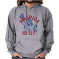 thumbnail image 1 of Statue of Liberty America is Lit Joke Hoodie Sweatshirt Women Men Brisco Brands S, 1 of 6
