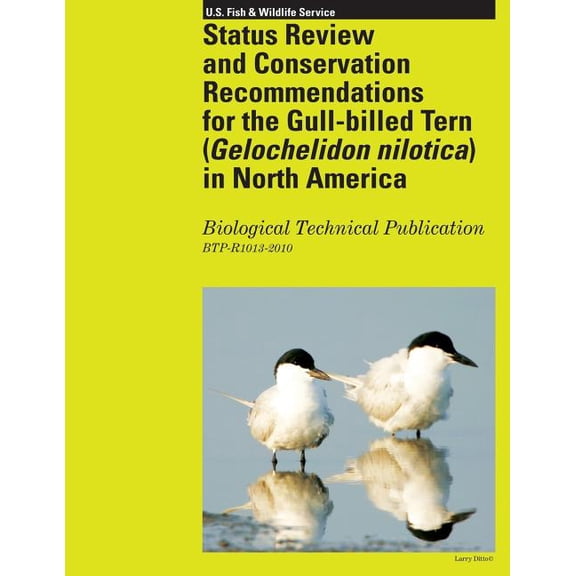 Status Review and Conservation Recommendations for the Gull-billed Tern (Gelochelidon nilotica) in North America (Paperback)