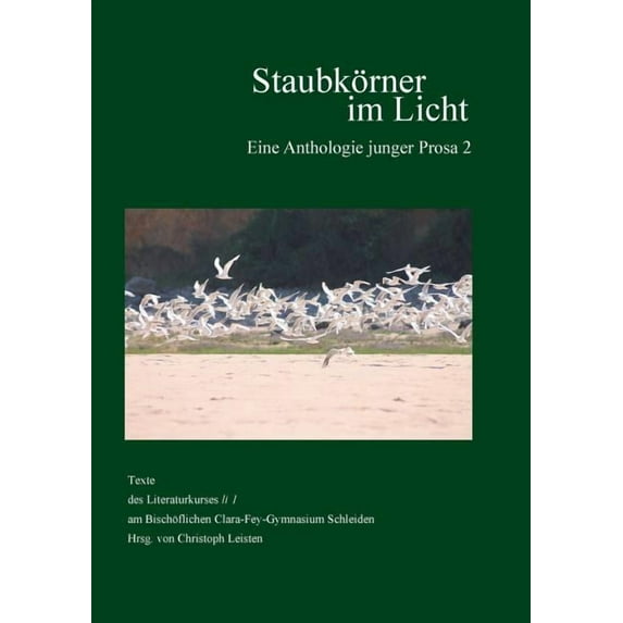 Staubkörner im Licht, (Paperback)