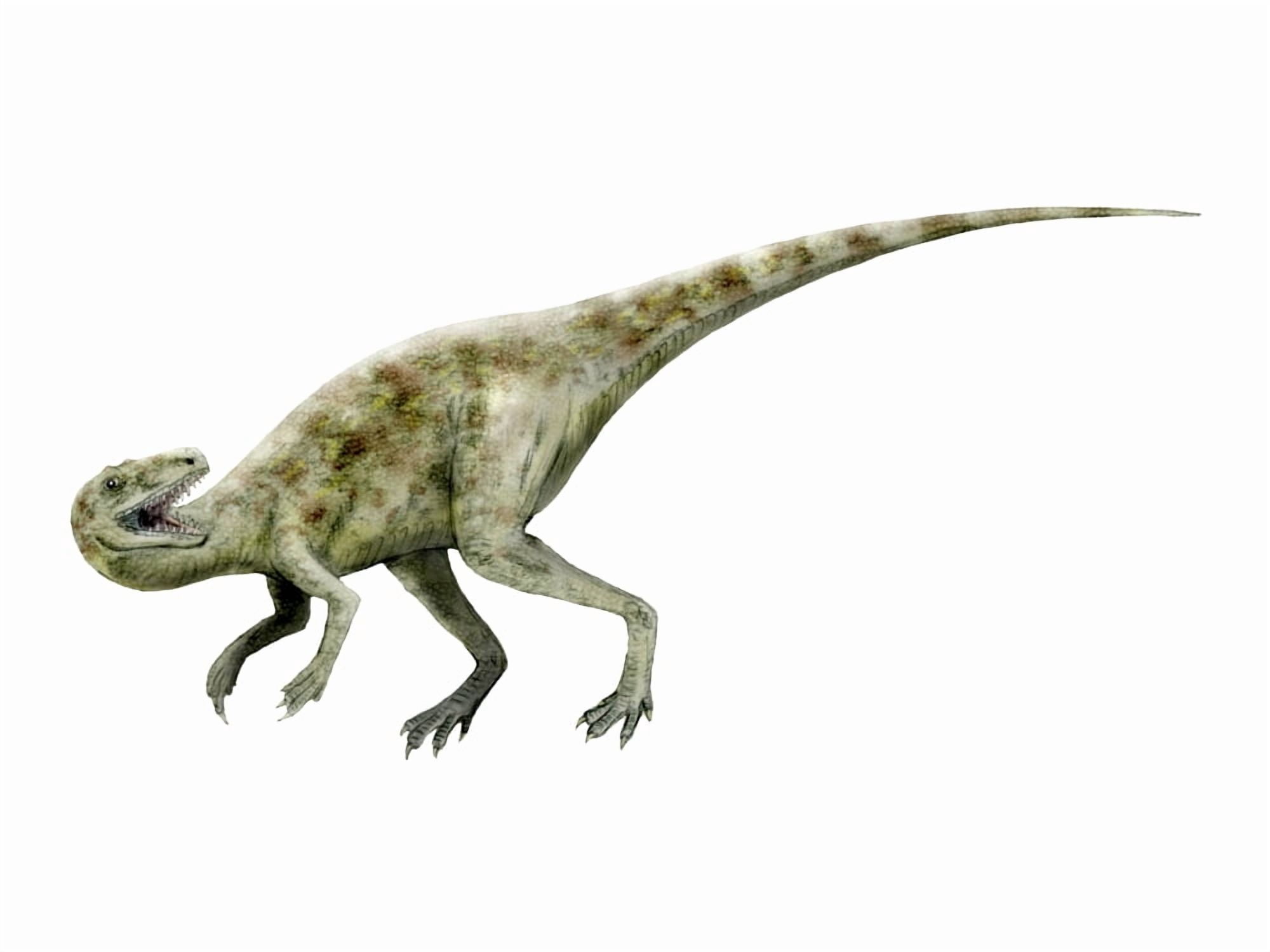 Staurikosaurus dinosaur Canvas Art - Nobumichi TamuraStocktrek Images (33 x 25)