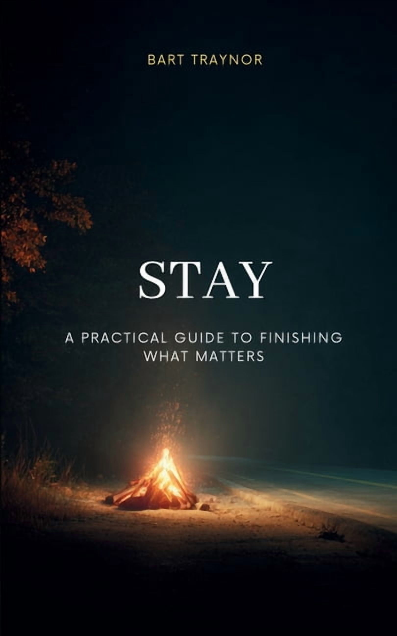 Stay: A practical guide to finishing what matters, (Paperback)
