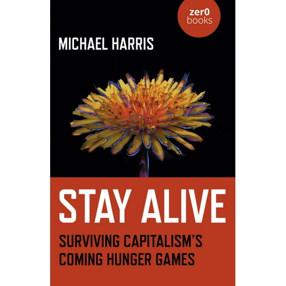 Stay Alive : Surviving Capitalisms Coming Hunger Games (Paperback)