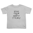 thumbnail image 1 of Stay Calm And Keep It Strange Cute Toddler T-Shirts for Boys Girls (Gray, Youth L), 1 of 5